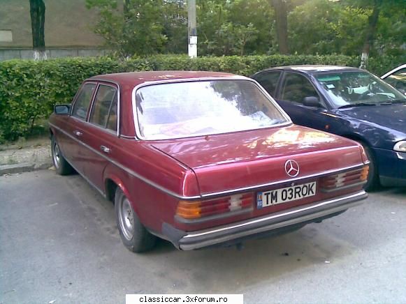 Clasice din Timisoara - o cobrita foarte frumoasa - Am vazut prin Romania