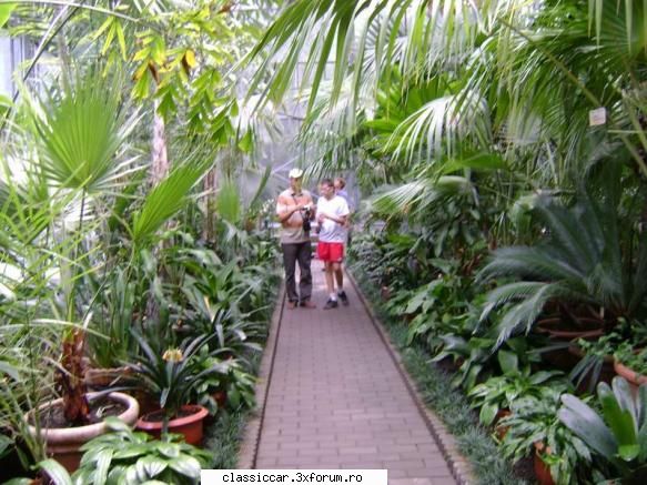 "Coda Scurta"(LASTUN) si Natasa(TULA) - In sera cu plante tropicale - Prezentare masini