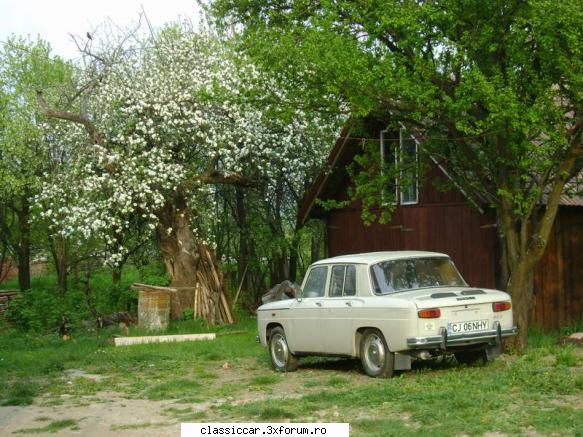 Dacia 1100 (S) - 1971 - Misu de Cluj - Reconditionari si Restaurari