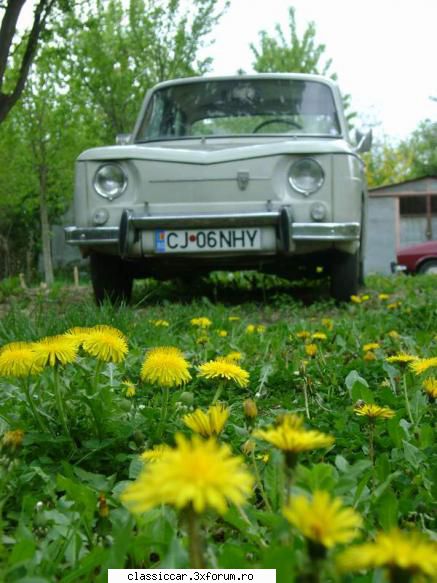 Dacia 1100 (S) - 1971 - Misu de Cluj - Reconditionari si Restaurari
