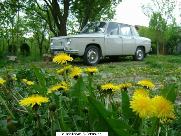 Dacia 1100 (S) - 1971 - Misu de Cluj - Reconditionari si Restaurari