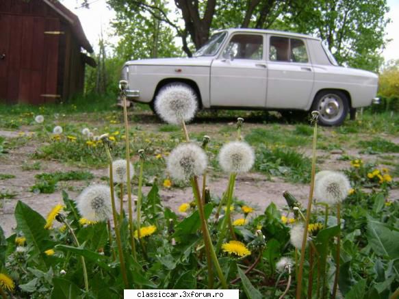 Dacia 1100 (S) - 1971 - Talentul artistic nu ma lasa in pace! - Reconditionari si Restaurari