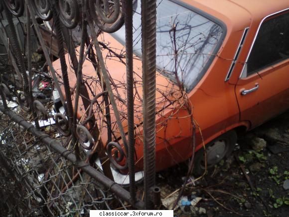 Dacia 1300 - glad parau - Am vazut prin Cluj-Napoca