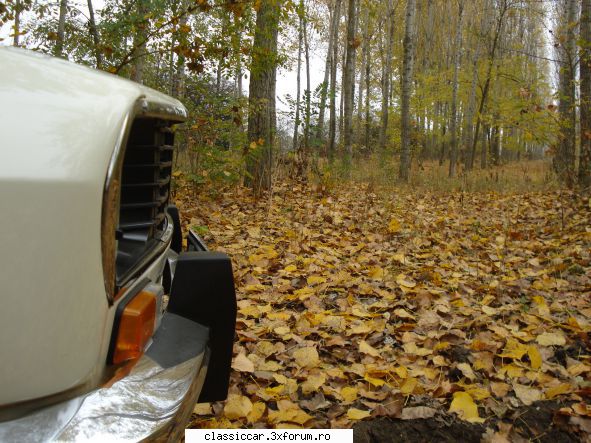 Dacia - cv2adi - Prezentare masini