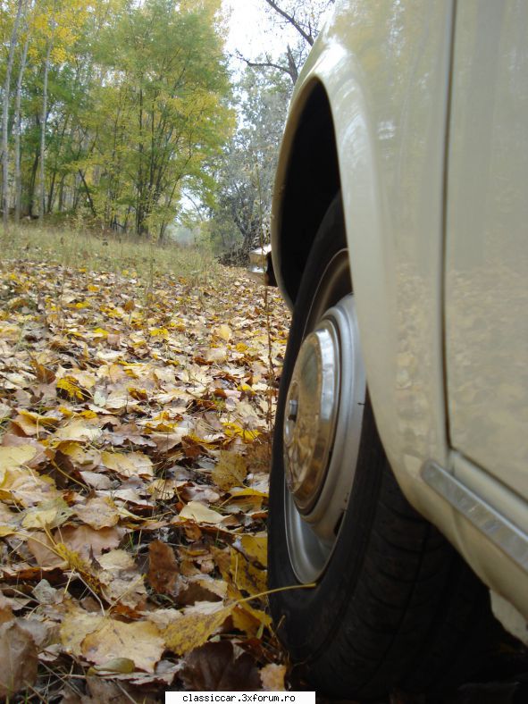 Dacia - cv2adi - Prezentare masini