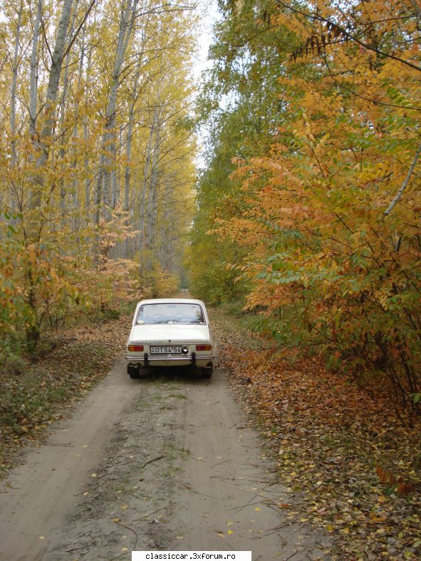 Dacia - cv2adi - Prezentare masini
