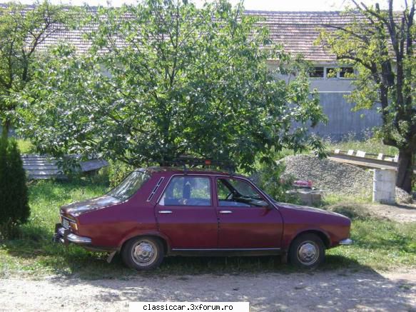 Dacia - visinie - In sfarsit o poza langa castan, ca toate masinile - Reconditionari si Restaurari