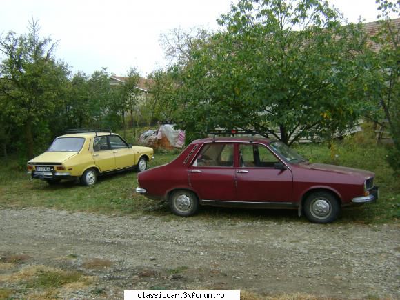 Dacia - visinie - Inca o poza sub castan! - Reconditionari si Restaurari