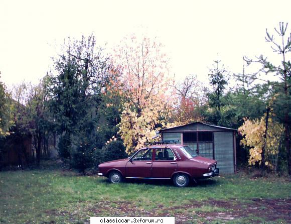 Dacia - visinie - Vine toamna. Dedesubt am dat-o cu ulei, iar - Reconditionari si Restaurari