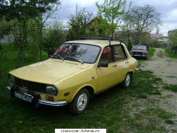 Dacia - Galbena - Ce sa faca? Se bucura de primavara. O poza de - Reconditionari si Restaurari