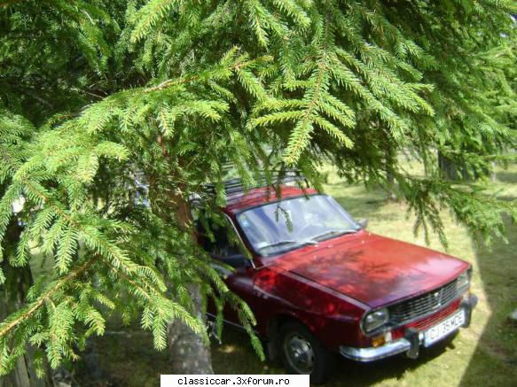 Dacia - Galbena - si cea visinie ... cu ceara de carnauba, cum - Reconditionari si Restaurari