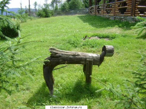Dacia - Galbena - asa sa moara capra vecinului - Reconditionari si Restaurari