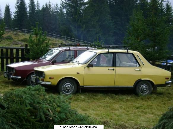 Dacia - Galbena - Auma asta galbena urmeaza la cura de intretinere - Reconditionari si Restaurari