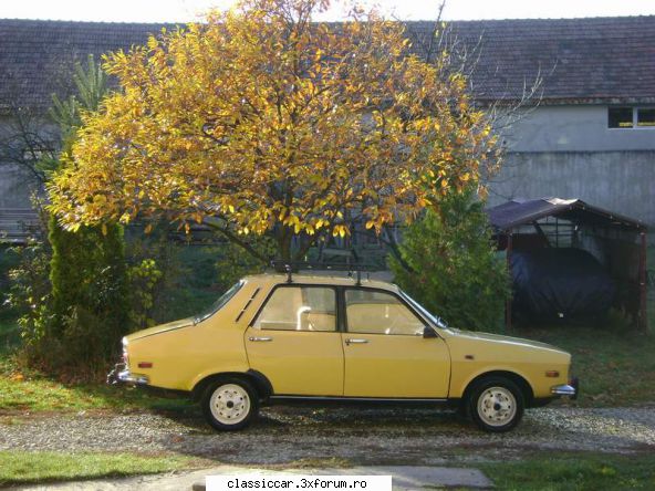 Dacia - Galbena - Am scos Dacia galbena la plimbare. Nu l-am mai - Reconditionari si Restaurari