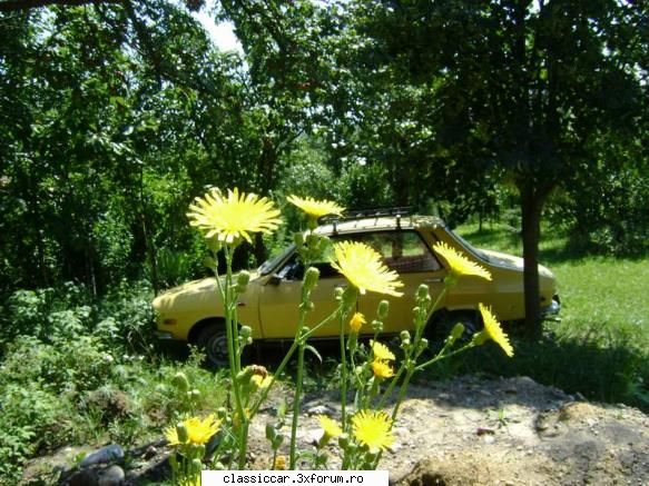 Dacia - Galbena - O poza artistica - Reconditionari si Restaurari