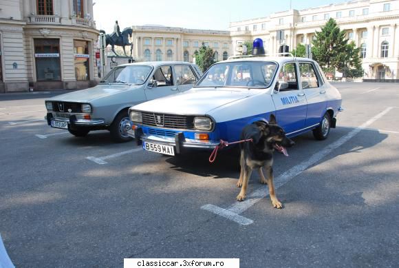 Dacia 1300 - Militia - Costel are doar 6 luni , se simte foarte bine in - Prezentare masini