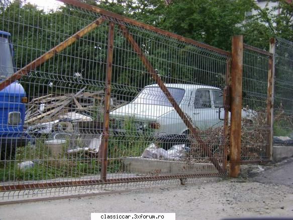 Dacia 1300 - vernil - O Dacia 1300, ajunsa pe butuci, care insa ar mai - Am vazut prin Cluj-Napoca
