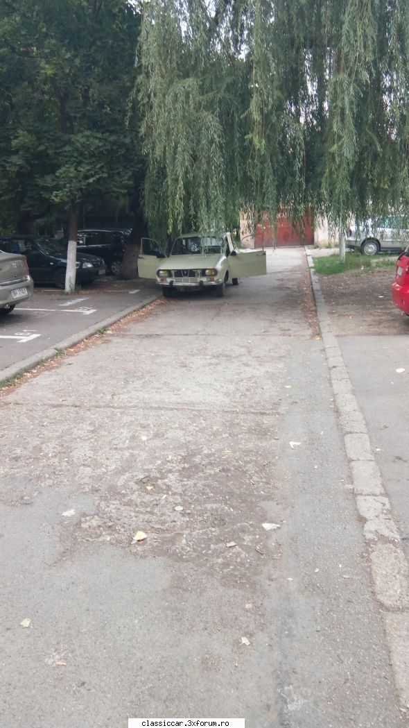 Dacia 1300, anul 1982 - Azi-vara. Se observa copacii sub care a zacut - Prezentare masini
