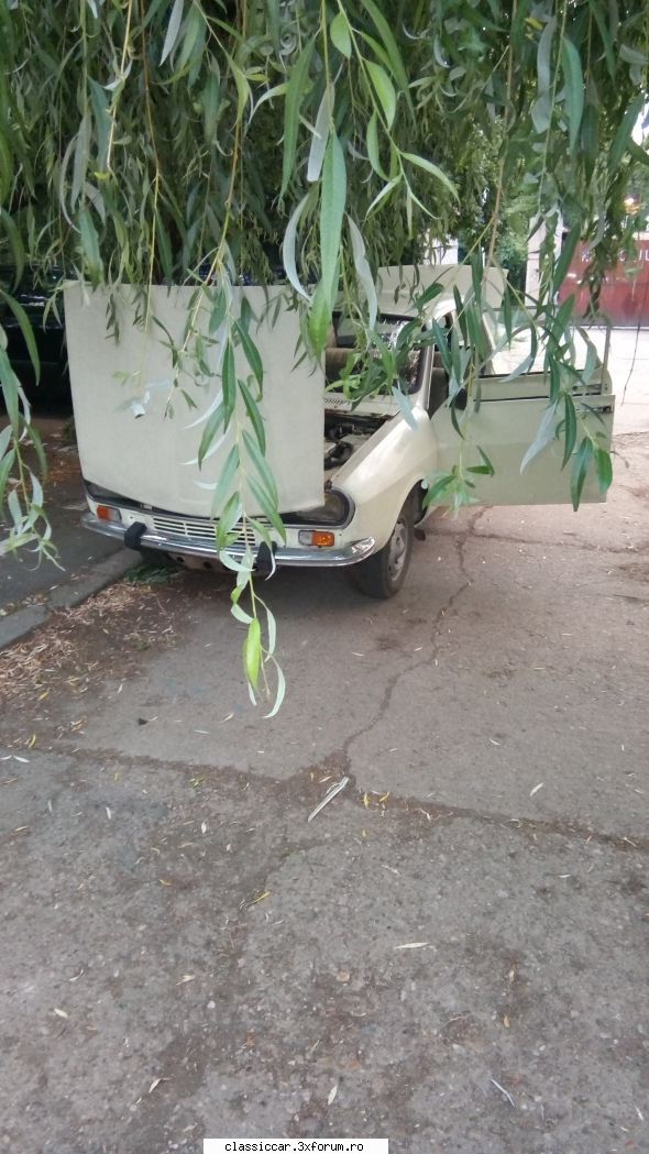 Dacia 1300, anul 1982 - Adrian '71-'82 - Prezentare masini