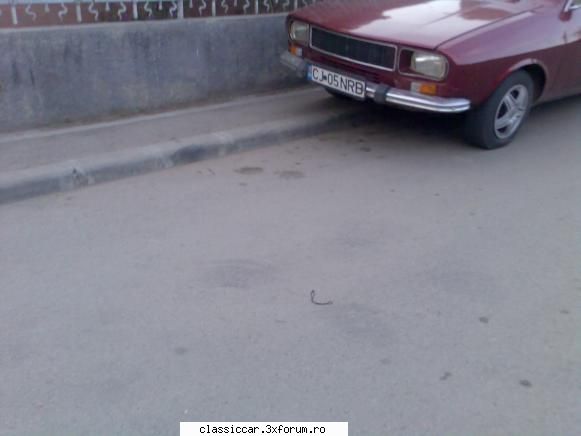 Dacia 1300 visinie - glad parau - Am vazut prin Cluj-Napoca