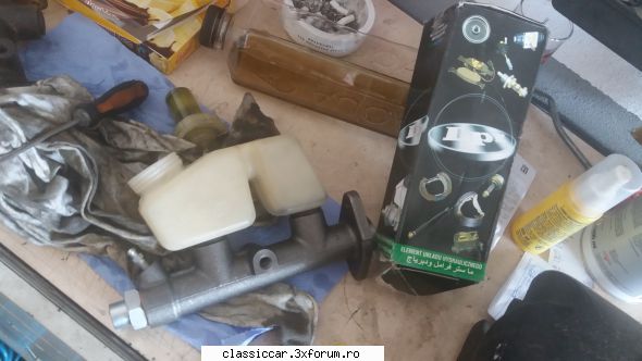 Dacia 1310 '85 - Raul90 - Prezentare masini