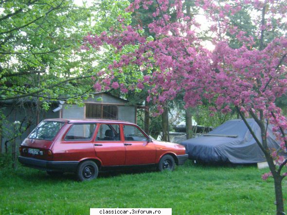 Dacia 1310 CL Break 1995 - A mai trecut o saptamana, exteriorul e cam gata - Reconditionari si Restaurari