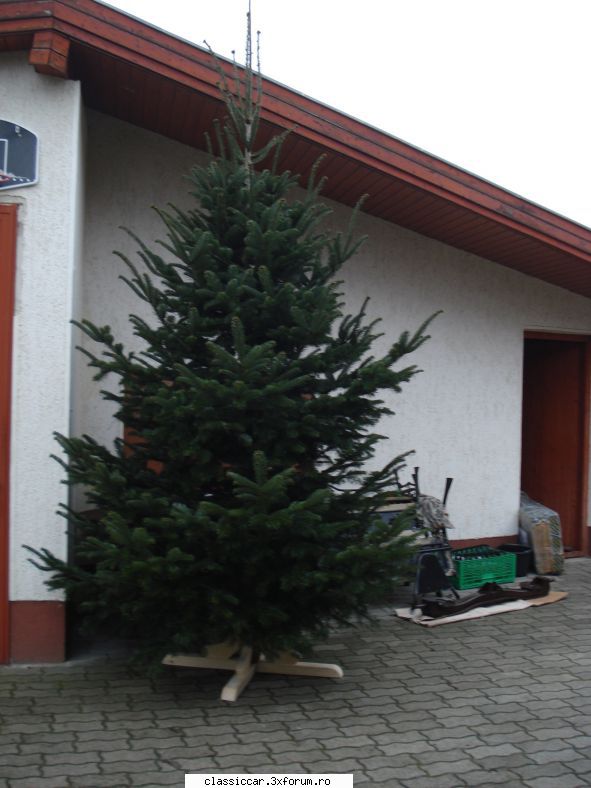 Dacia 1320 - puse sub brad ...deocamdat� in curte - Prezentare masini