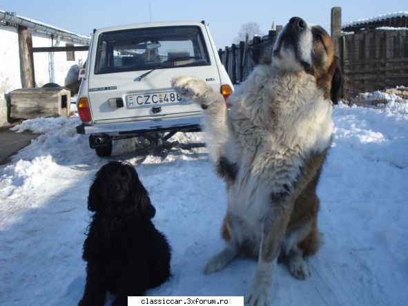 Daciana mea - A venit iarna ( iar n-am bani ) si m-am g�ndit c� - Prezentare masini