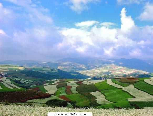 De domeniul incredibilului. - Dar pline cu carute,(nu cu masini de epoca.) - Discutii libere