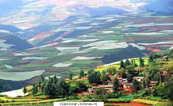 De domeniul incredibilului. - Si inca 2 vederi generale - Discutii libere