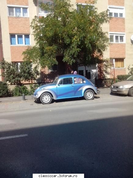 De prin Arad - si o broscuta prinsa pe viteza - Am vazut prin Romania