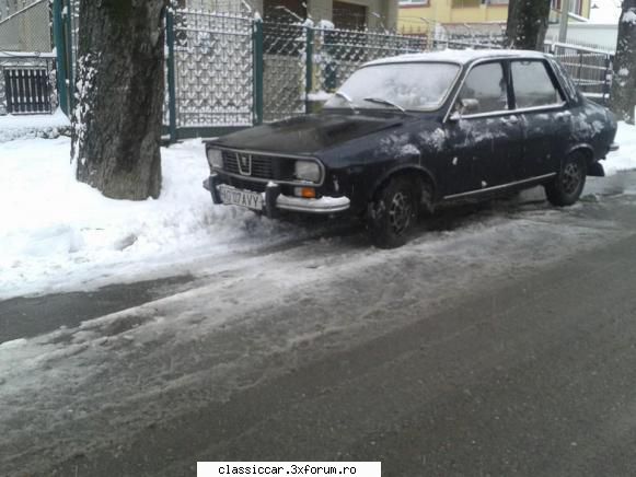 De prin Arges - O aparitie foarte interesanta in Pitesti. Nu stiu - Am vazut prin Romania