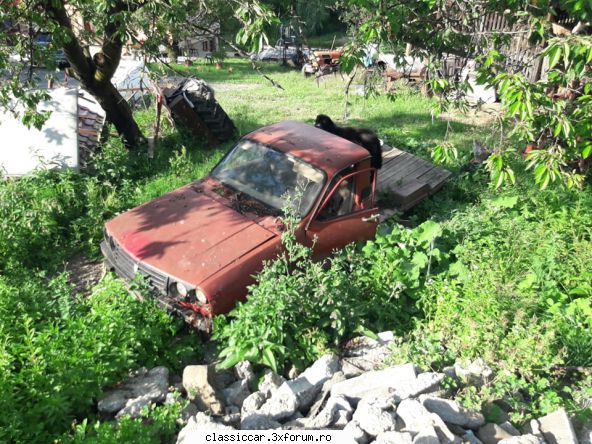 De prin Baia Mare si imprejurimi - Un papuc obosit si utat - Vanatoarea de epave