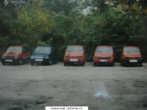 Diferente intre diverse tipuri de Lastuni - nicu rares - File de istorie