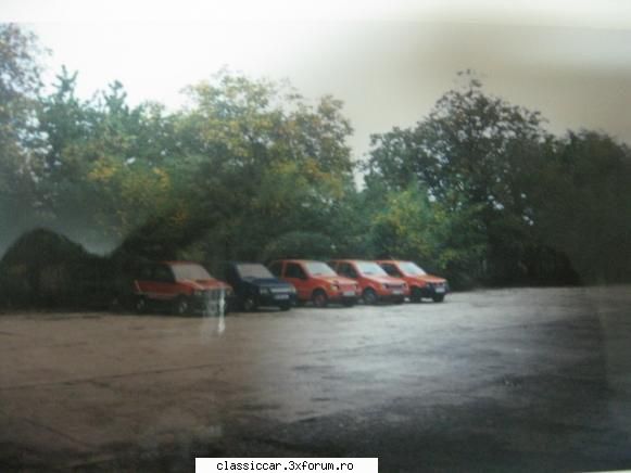 Diferente intre diverse tipuri de Lastuni - poza2 si urmeaza poza3 - File de istorie