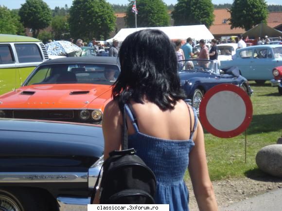 Din Danemarca - Intrarea in expozitie - Din lumea larga