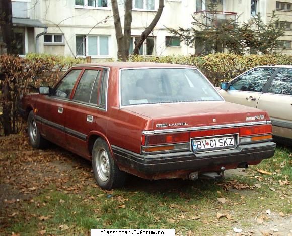 Din Mures - Tot Laurel, ceva mai nou - Am vazut prin Romania