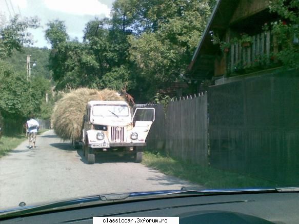 Din Severin - Un M cam obosit de atata munca la camp - Am vazut prin Romania