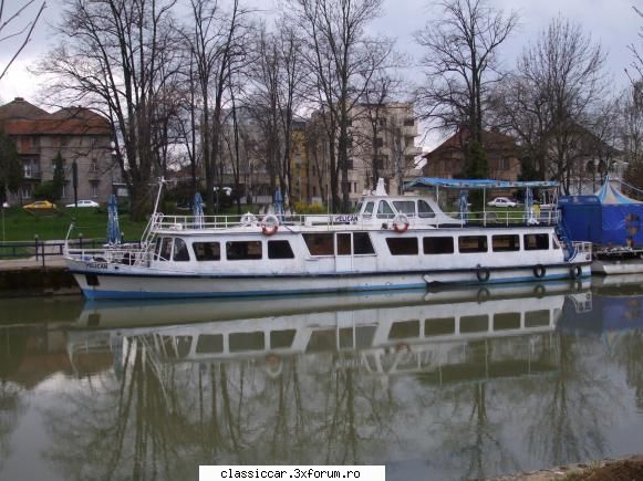 Drumetii cu saispele - asteptam cu nerabdare transportul in comun pe - Drumetii prin Mioritic