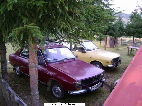 Drumetii prin Apuseni - Sus la destinatie... de data asta fara esapamente - Drumetii prin Mioritic