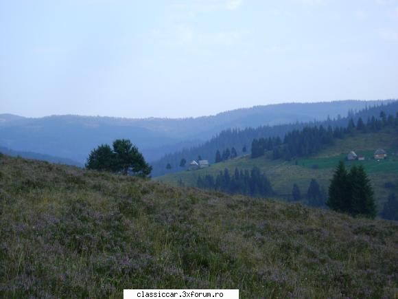 Drumetii prin Apuseni - Ia uitati ce albastru e aerul... cand ma gandesc - Drumetii prin Mioritic