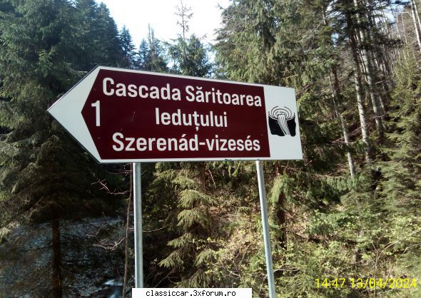 Drumul Apusenilor aprilie 2024 - Cascada Saritoarea Iedutului e cativa km mai spre - Drumetii prin Mioritic