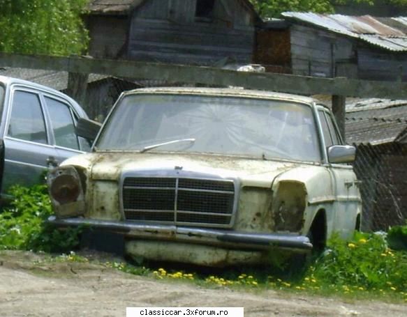 Epave de Mertan - Misu de Cluj - Am vazut prin Romania