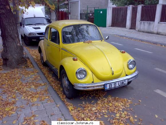 Epave sau nu, cu siguranta vechi intalnite pe meleagurile tarii - broasca galbena - Am vazut prin Romania