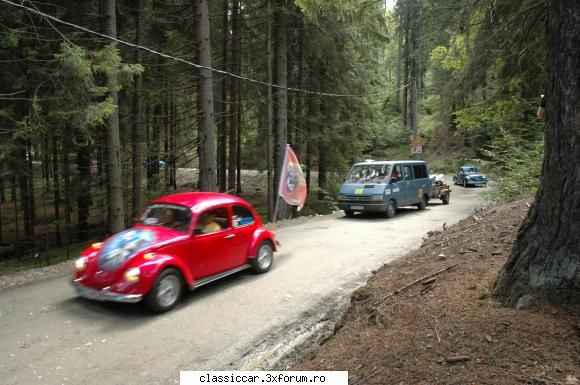 Evenimente greu de uitat. - Tot evenimentul a avut loc in BM,in centrul - Arhiva evenimente 2009