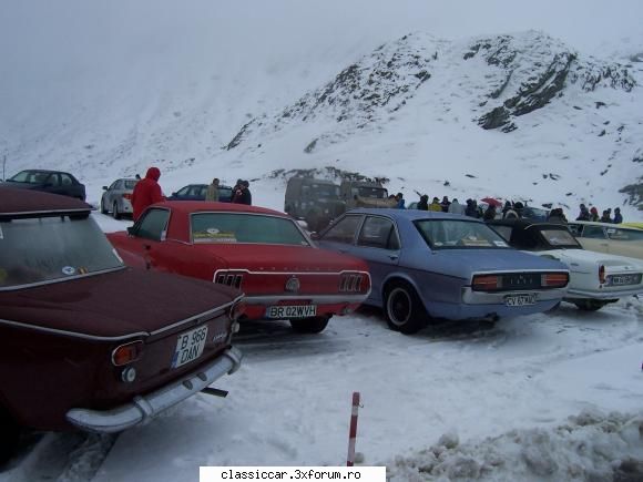 Expeditie in tara zapezii. - bilea, frig, zapada - Arhiva evenimente 2010
