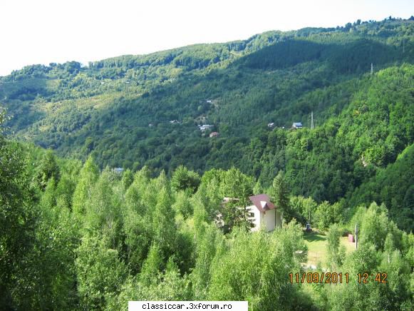 Festivalul cascavelei - vedere in vale de pe baraj - Drumetii prin Mioritic