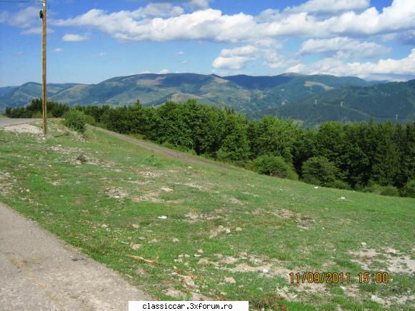 Festivalul cascavelei - in varful dealulu se vede padurea de pini prin - Drumetii prin Mioritic