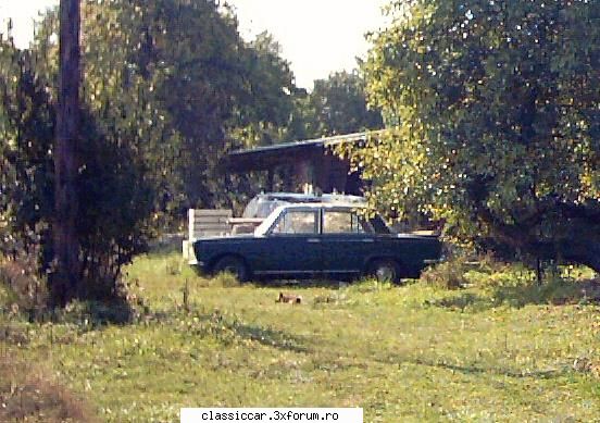 Fiat 125 - E intr-o curte de o buna vreme nemiscata :( - Vanatoarea de epave