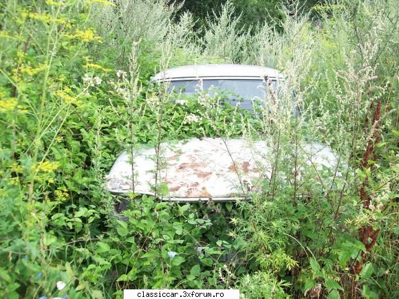 Fiat 1300 - ar trebui probabil sa pun aceasta poza la - Am vazut prin Cluj-Napoca